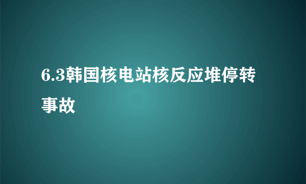 6.3韩国核电站核反应堆停转事故
