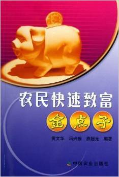 农民快速致富金点子