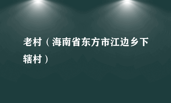 老村（海南省东方市江边乡下辖村）