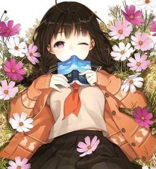 我是伪娘小说家
