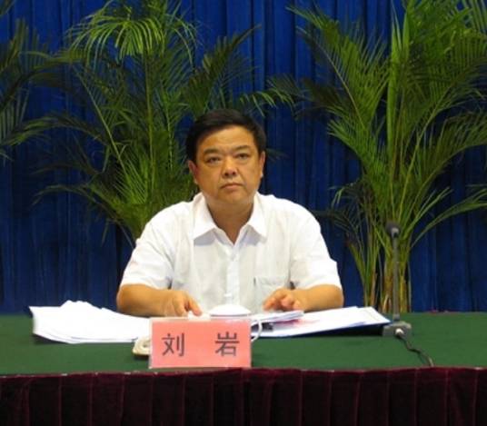刘岩（安徽省宣城市人民政府原副市长、党组成员（挂职））
