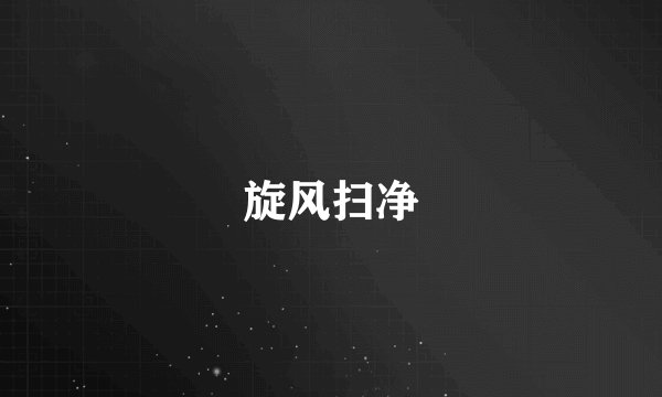旋风扫净