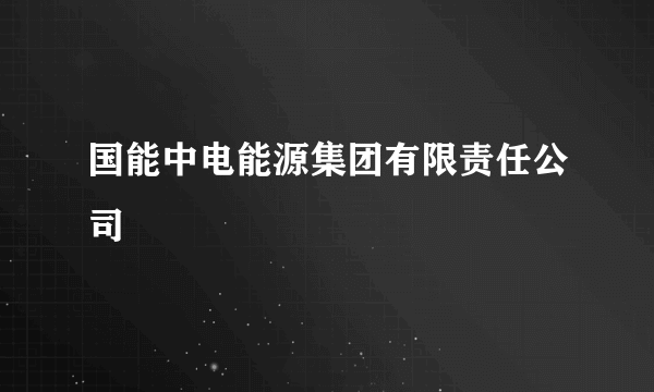 国能中电能源集团有限责任公司