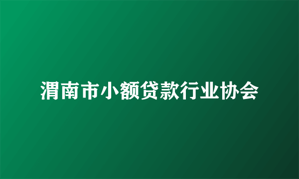 渭南市小额贷款行业协会