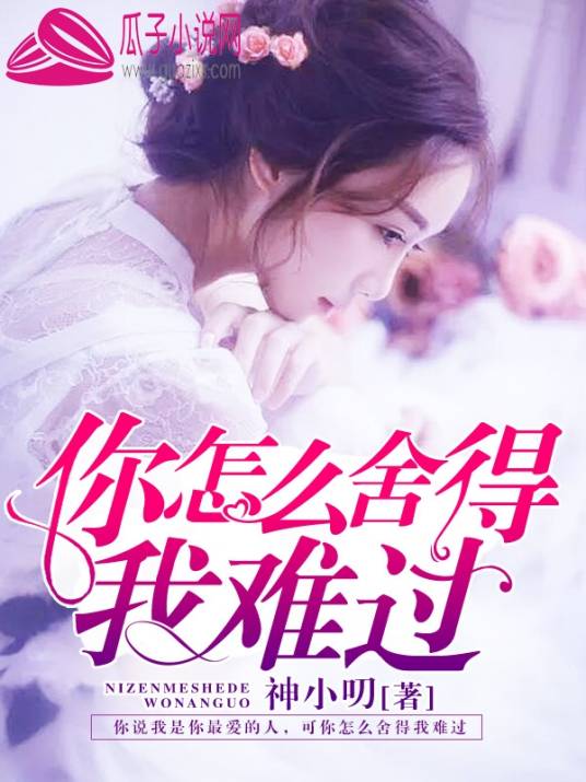 你怎么舍得我难过（神小明所著小说）