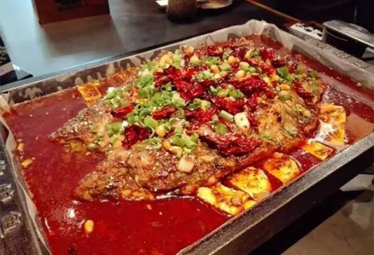红烧菜鲟