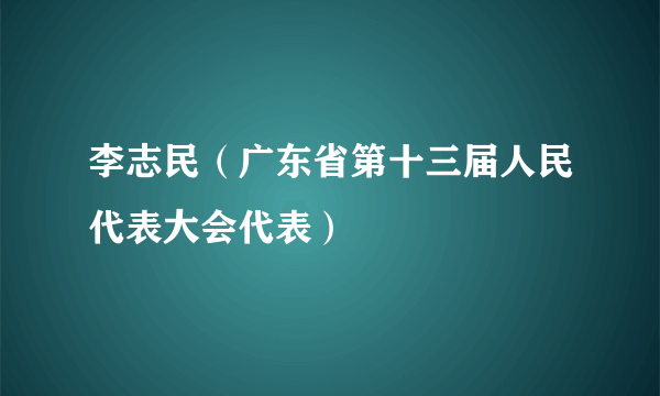 李志民（广东省第十三届人民代表大会代表）