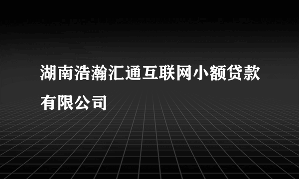 湖南浩瀚汇通互联网小额贷款有限公司