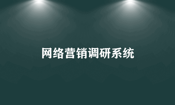 网络营销调研系统