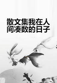 散文集我在人间凑数的日子