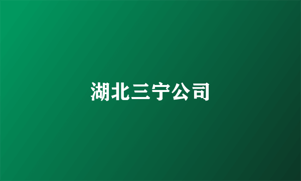 湖北三宁公司