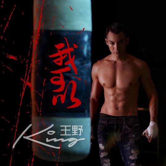 我可以（王野演唱歌曲）