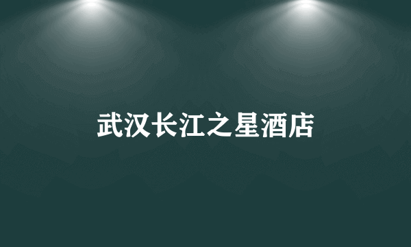 武汉长江之星酒店
