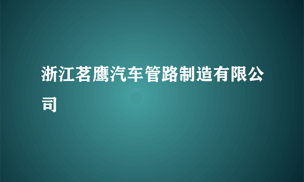 浙江茗鹰汽车管路制造有限公司