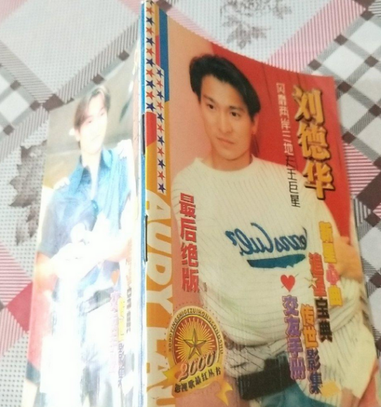 刘德华（2000年新疆青少年出版社出版的图书）