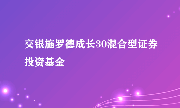 交银施罗德成长30混合型证券投资基金