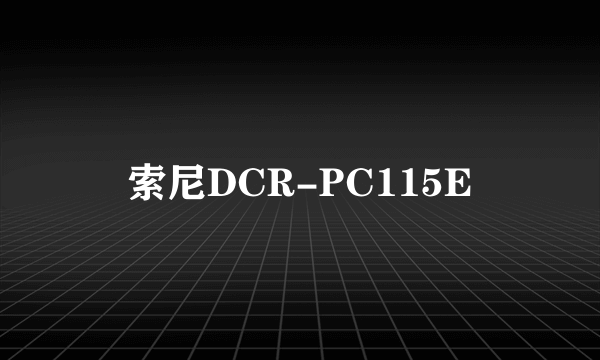索尼DCR-PC115E