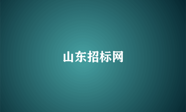 山东招标网