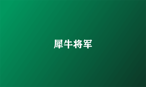 犀牛将军