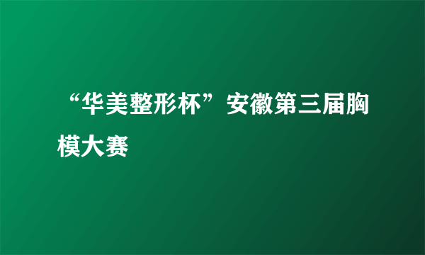 “华美整形杯”安徽第三届胸模大赛