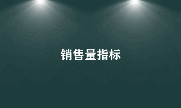 销售量指标