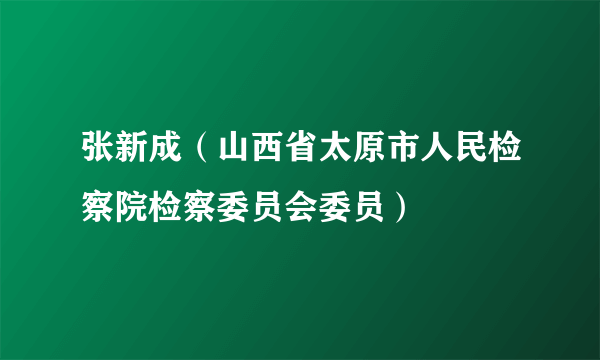 张新成（山西省太原市人民检察院检察委员会委员）