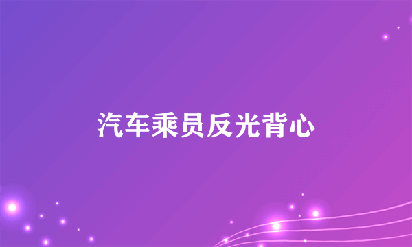 汽车乘员反光背心