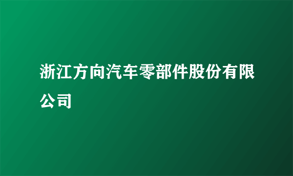浙江方向汽车零部件股份有限公司