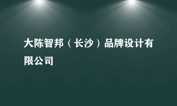 大陈智邦（长沙）品牌设计有限公司