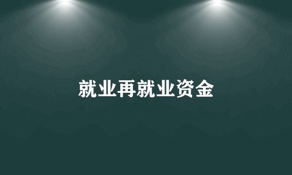 就业再就业资金