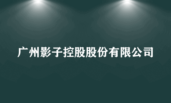 广州影子控股股份有限公司