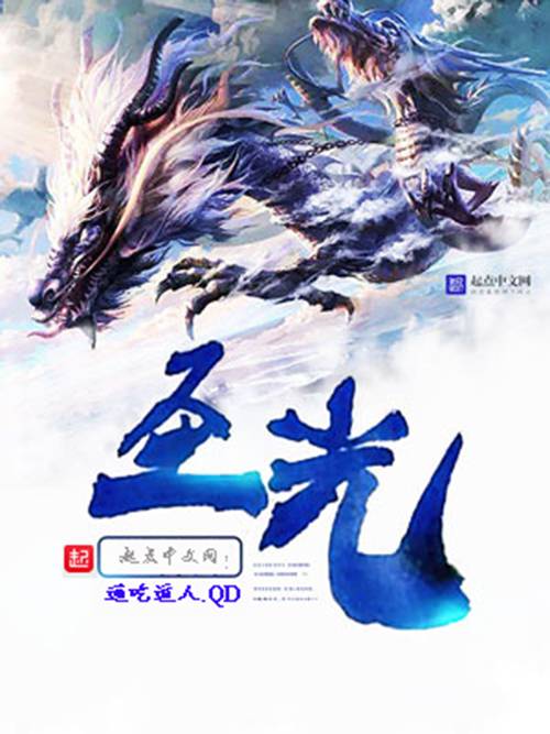 圣光（通吃道人。QD著网络小说）
