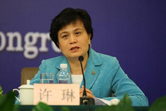 许琳（国家汉办主任（副部长级））