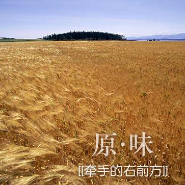 心动（原·味演唱歌曲）