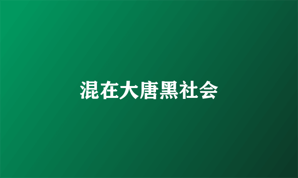 混在大唐黑社会