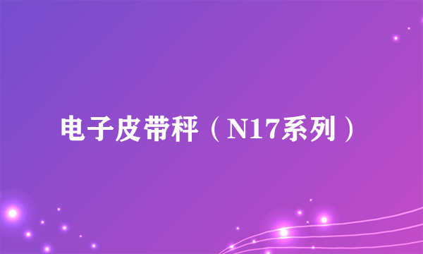 电子皮带秤（N17系列）