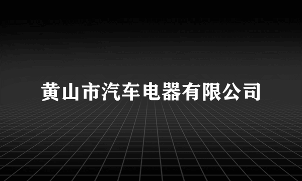黄山市汽车电器有限公司