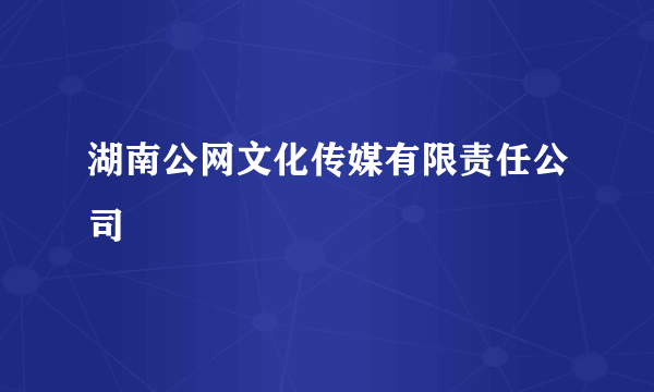 湖南公网文化传媒有限责任公司