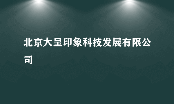 北京大呈印象科技发展有限公司
