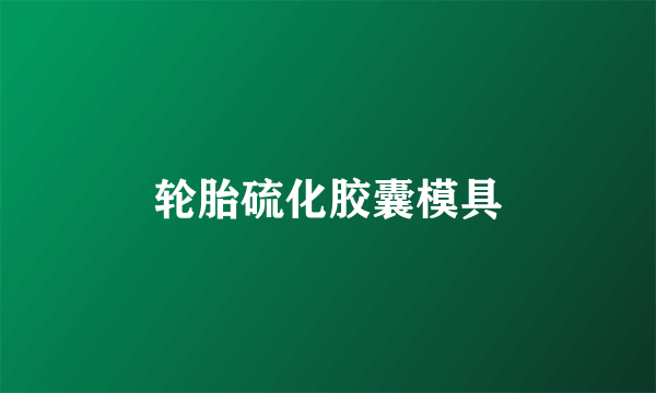 轮胎硫化胶囊模具