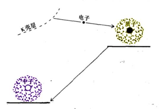 电子俘获