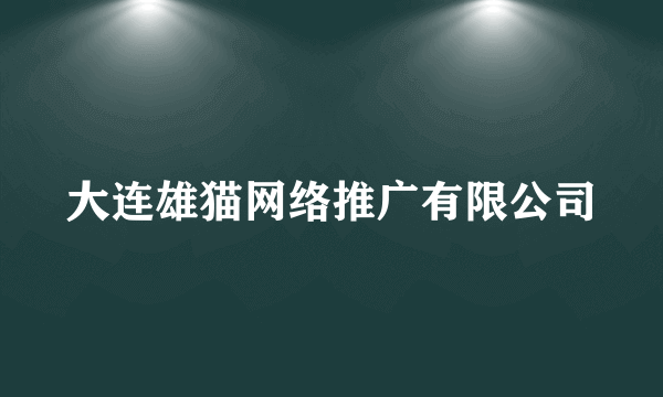 大连雄猫网络推广有限公司