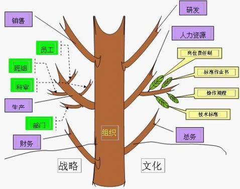 组织设计（动态的工作过程）