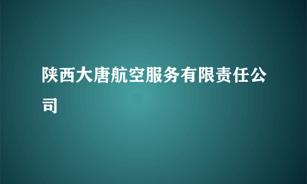 陕西大唐航空服务有限责任公司