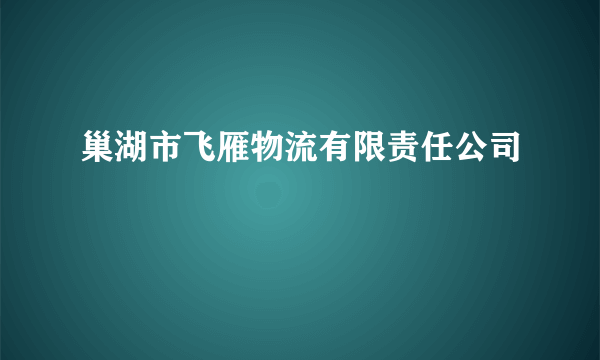 巢湖市飞雁物流有限责任公司