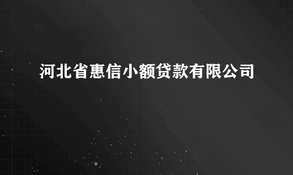 河北省惠信小额贷款有限公司