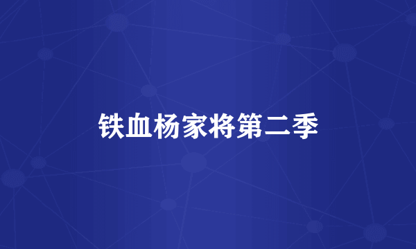铁血杨家将第二季