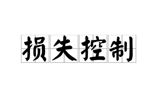 损失控制
