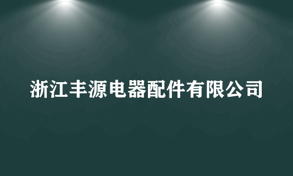 浙江丰源电器配件有限公司