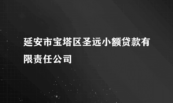 延安市宝塔区圣远小额贷款有限责任公司